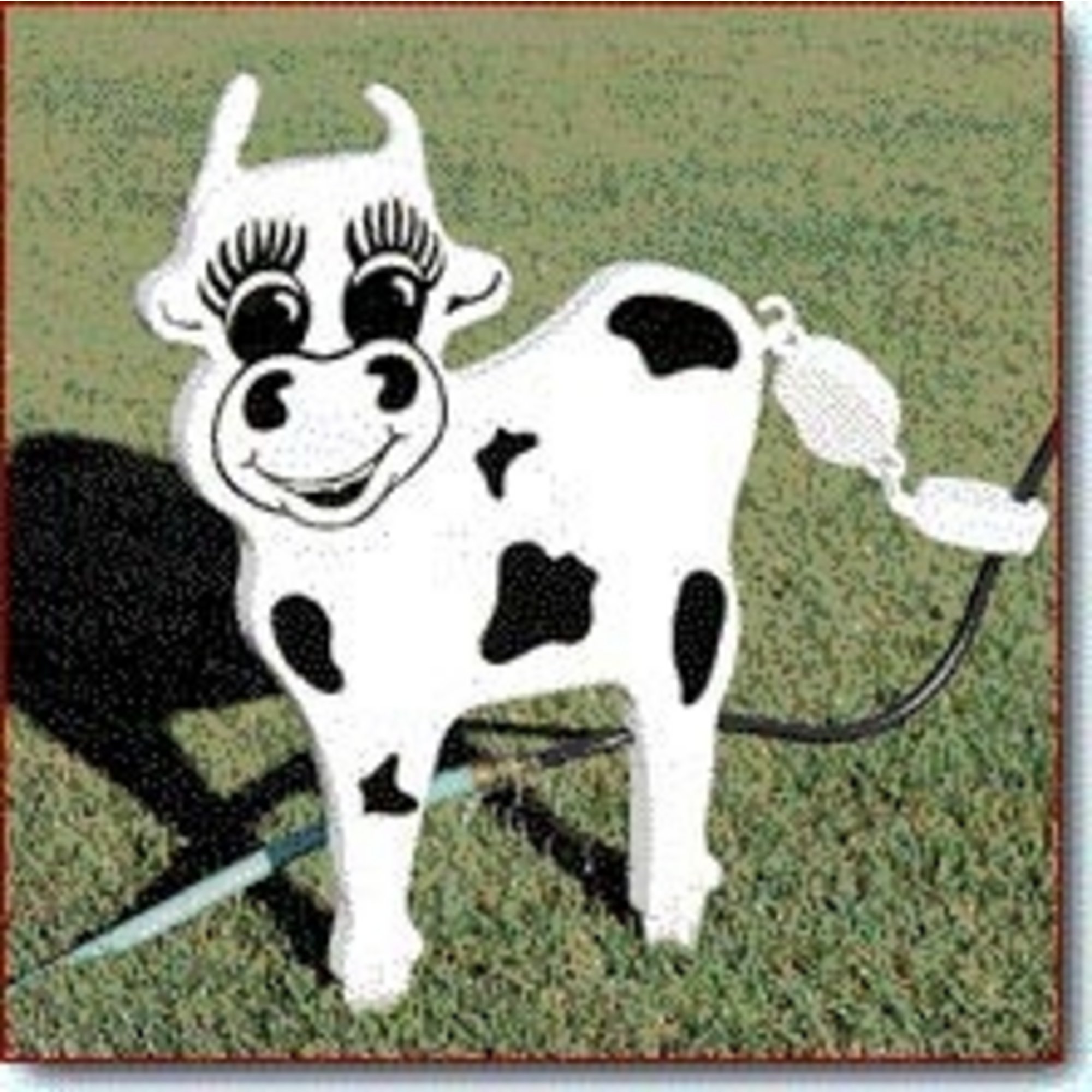 Holy Cow© Wags Its Tail as It Sprinkles